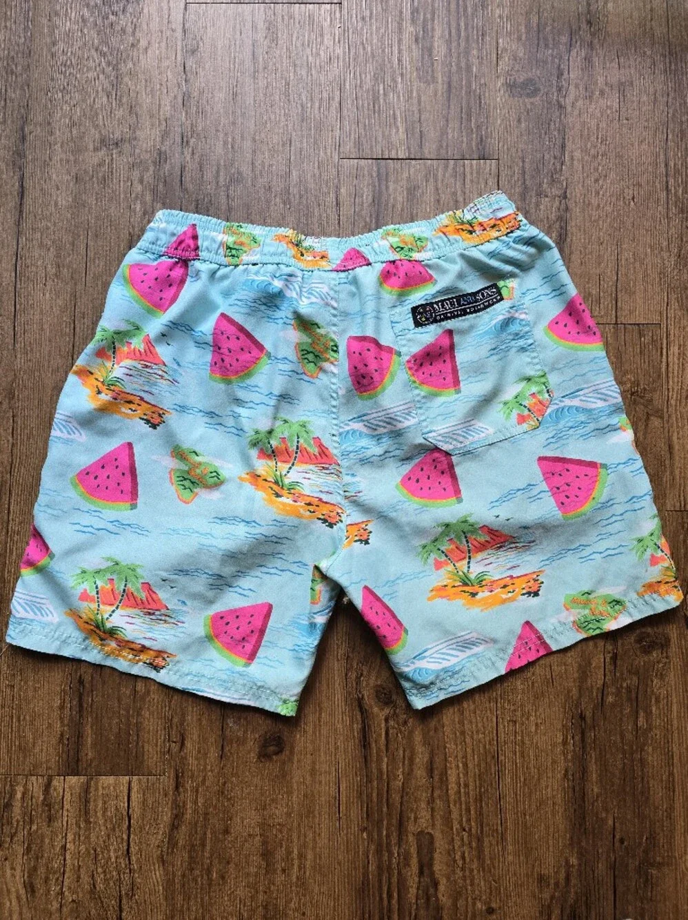Aqua Tropical Watermelon Print Mens Swim Trunks